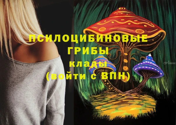 гашиш Арсеньев