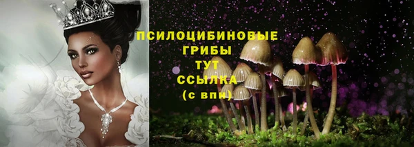 гашиш Арсеньев